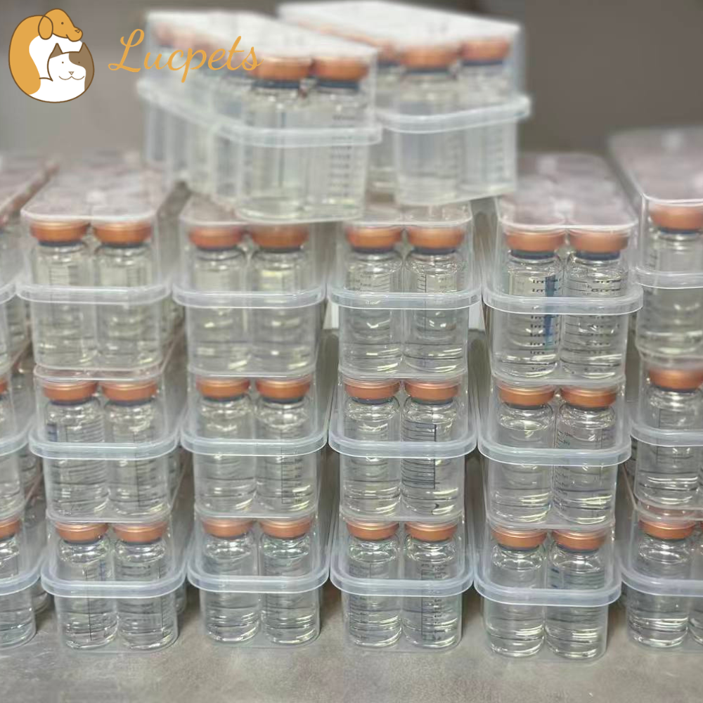 Private Label FIP Injectable GS-441524: What Veterinary Brands Need to Know